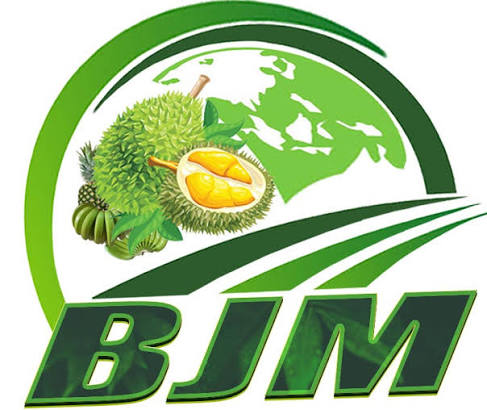 BJM Plotuteo Agri Export